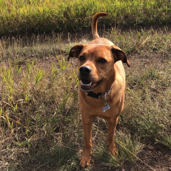 Meet your Posher, Corey - Picture 1 of 1